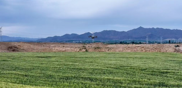 平川区扎实推进小麦“一喷三防” 筑牢粮食安全根基